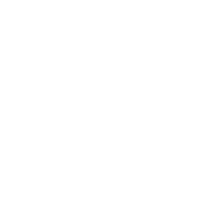 MMG Logo White