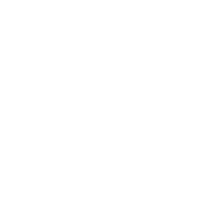 SFE_FOUNDATION_STACKED_FINAL_LOGO_PMS